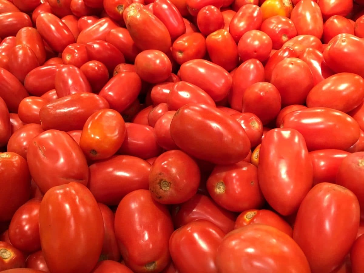 Detail Gambar Tomat Buah Dan Tomat Sayur Nomer 9