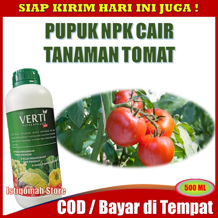 Detail Gambar Tomat Kedelai Melon Nomer 39