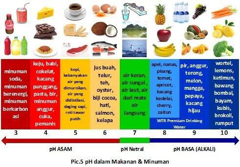 Detail Gambar Tomat Kedelai Melon Nomer 7