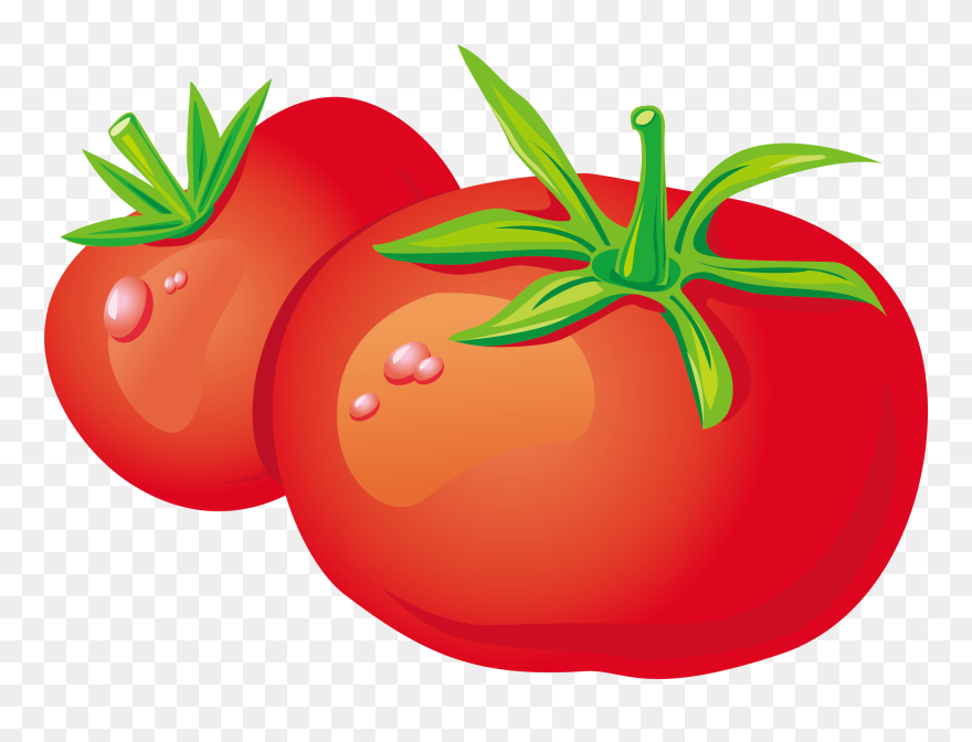 Detail Gambar Tomat Png Nomer 17