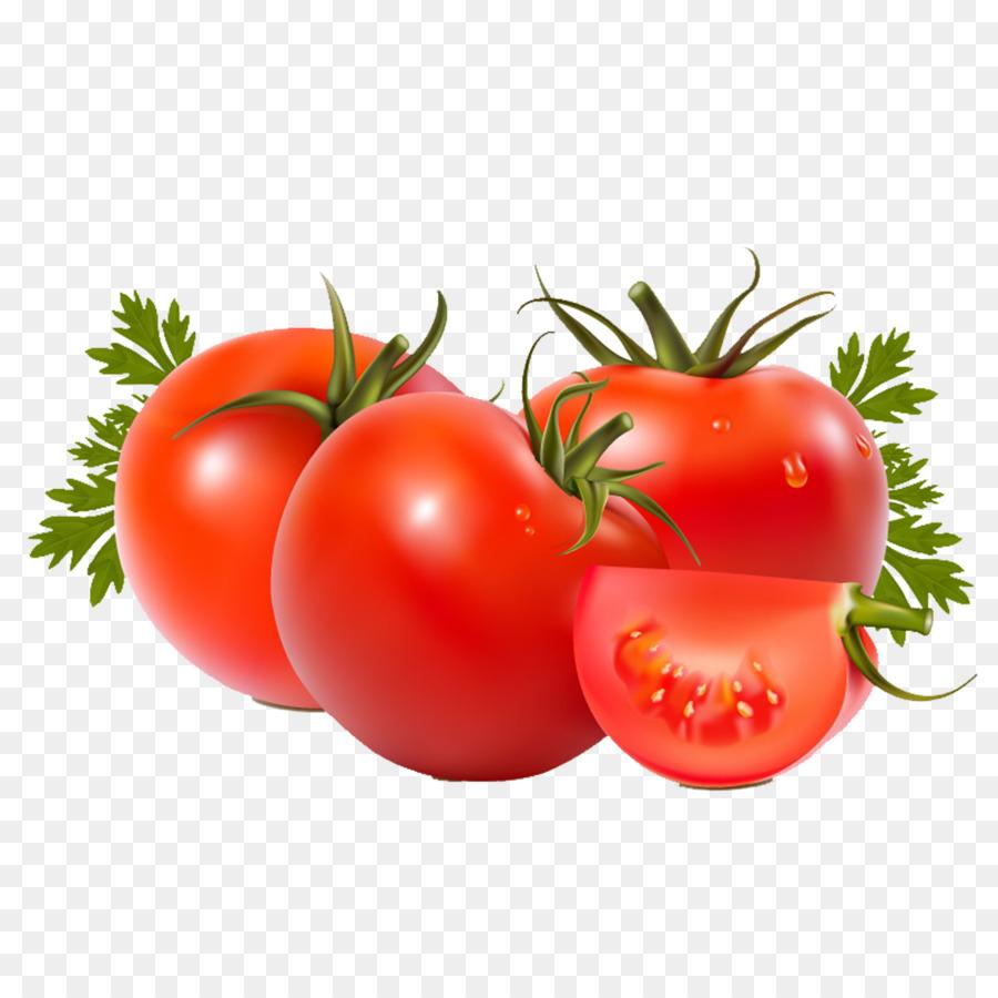 Detail Gambar Tomat Png Nomer 29