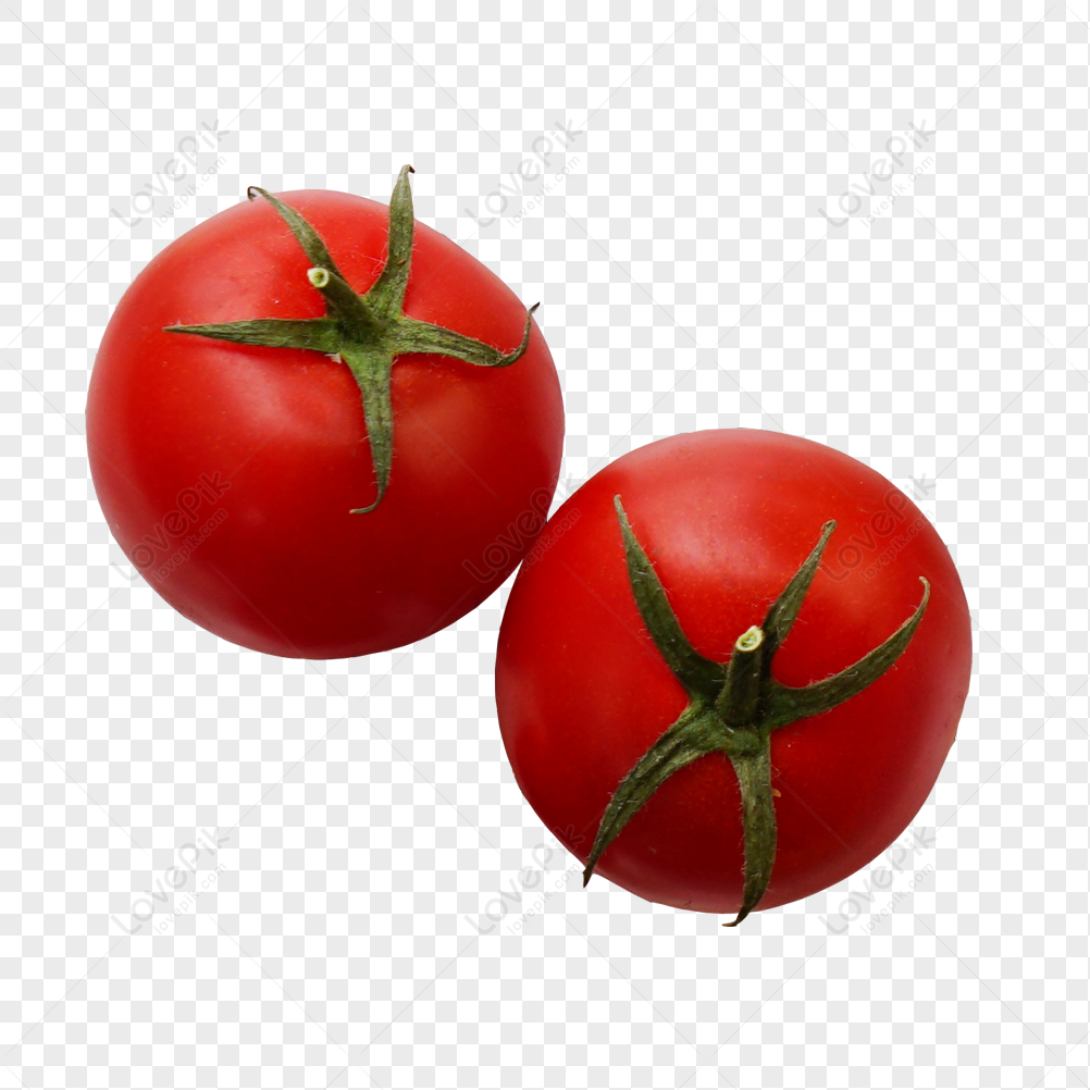 Detail Gambar Tomat Png Nomer 47