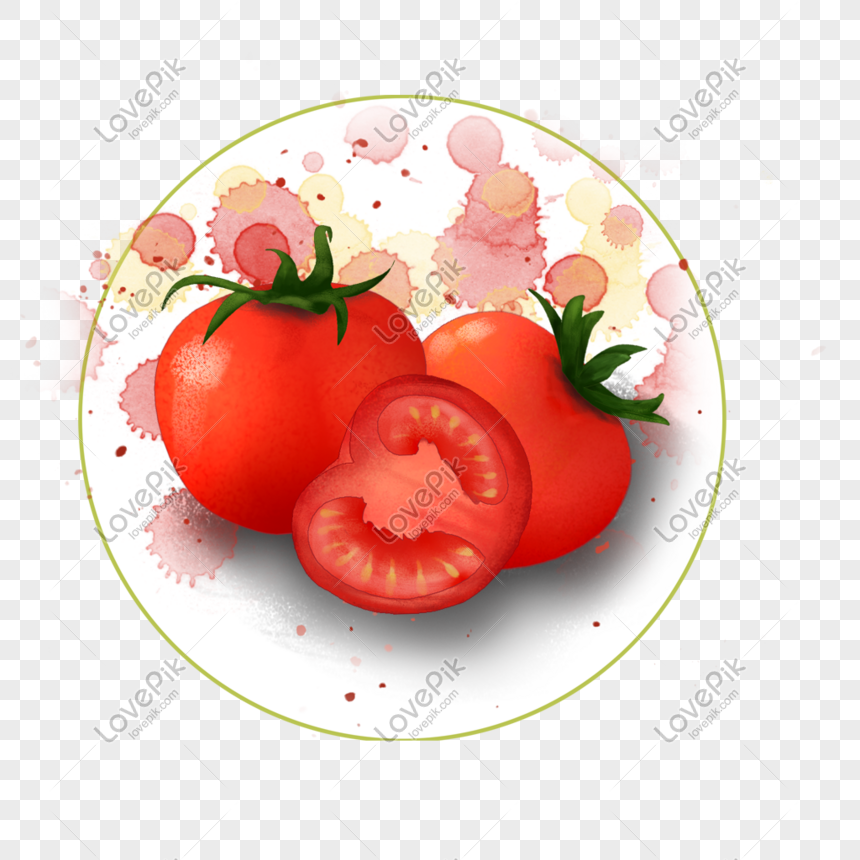 Detail Gambar Tomat Png Nomer 53