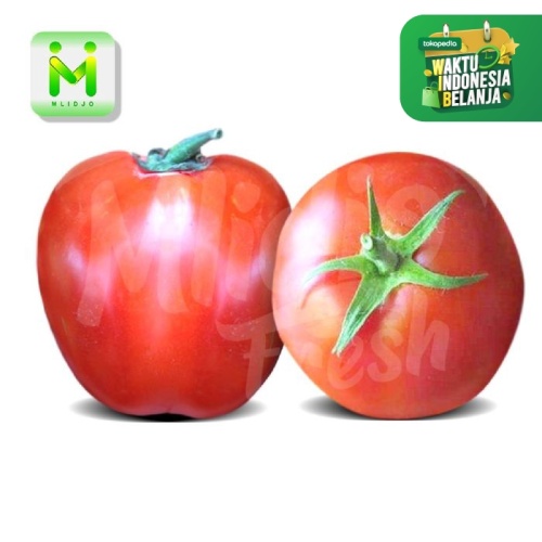 Detail Gambar Tomat Sayur Nomer 53