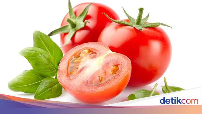 Detail Gambar Tomat Sayur Nomer 8