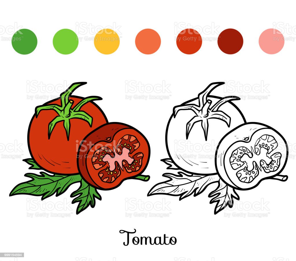 Detail Gambar Tomat Untuk Mewarnai Nomer 19