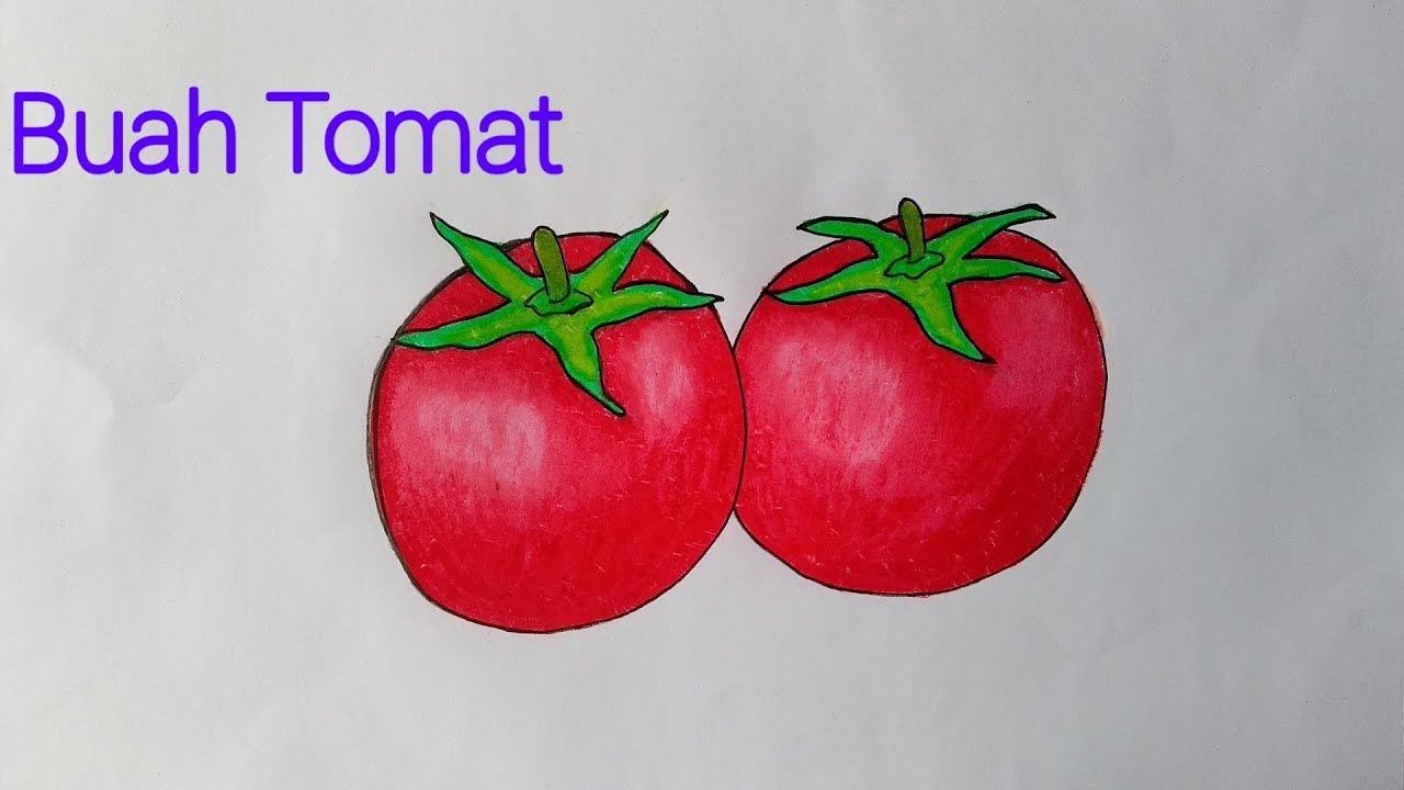 Detail Gambar Tomat Untuk Mewarnai Nomer 6