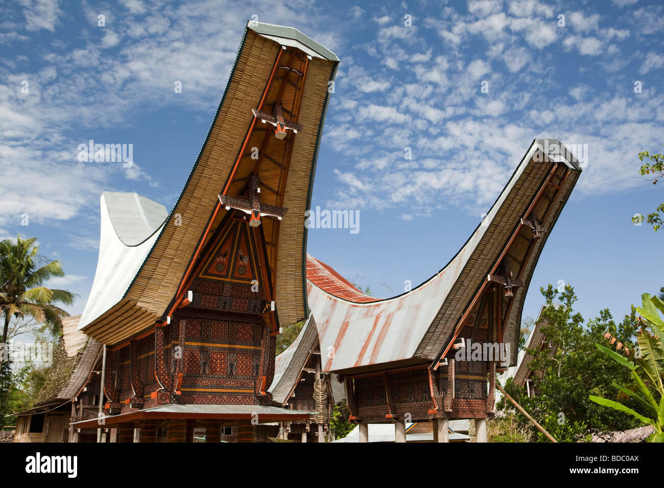 Detail Gambar Tongkonan Toraja Nomer 26