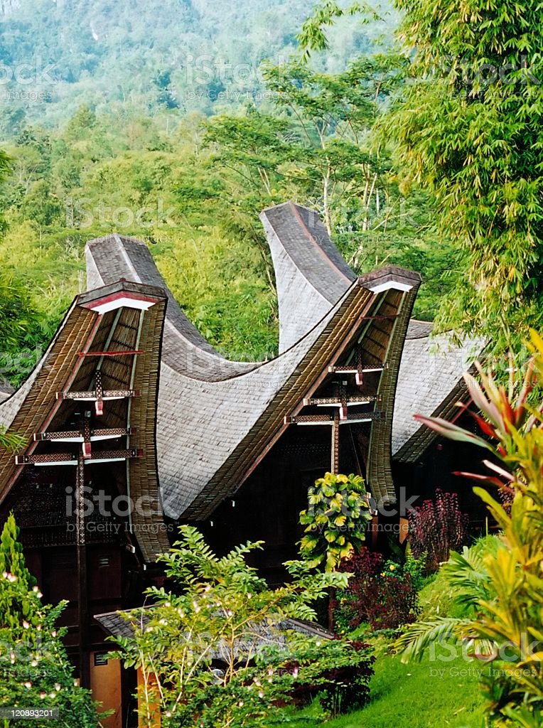 Detail Gambar Tongkonan Toraja Nomer 36