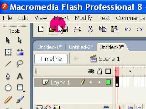 Detail Gambar Tool Macro Media Flash Nomer 7