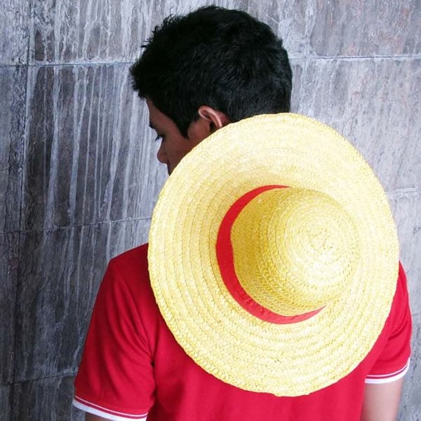 Detail Gambar Topi Jerami Luffy Nomer 25