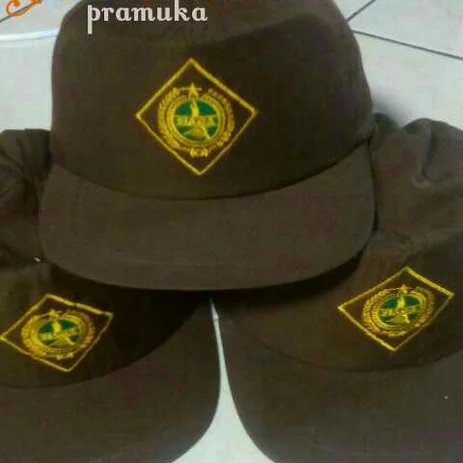 Detail Gambar Topi Pramuka Nomer 27