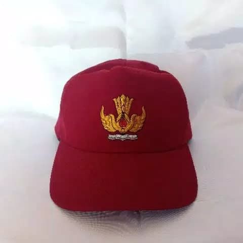 Detail Gambar Topi Sd Nomer 14