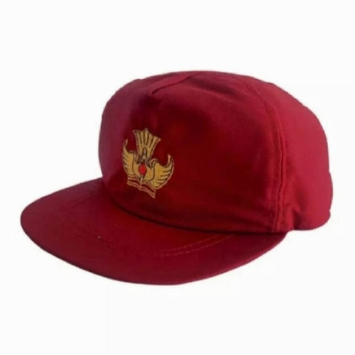 Detail Gambar Topi Sd Nomer 6