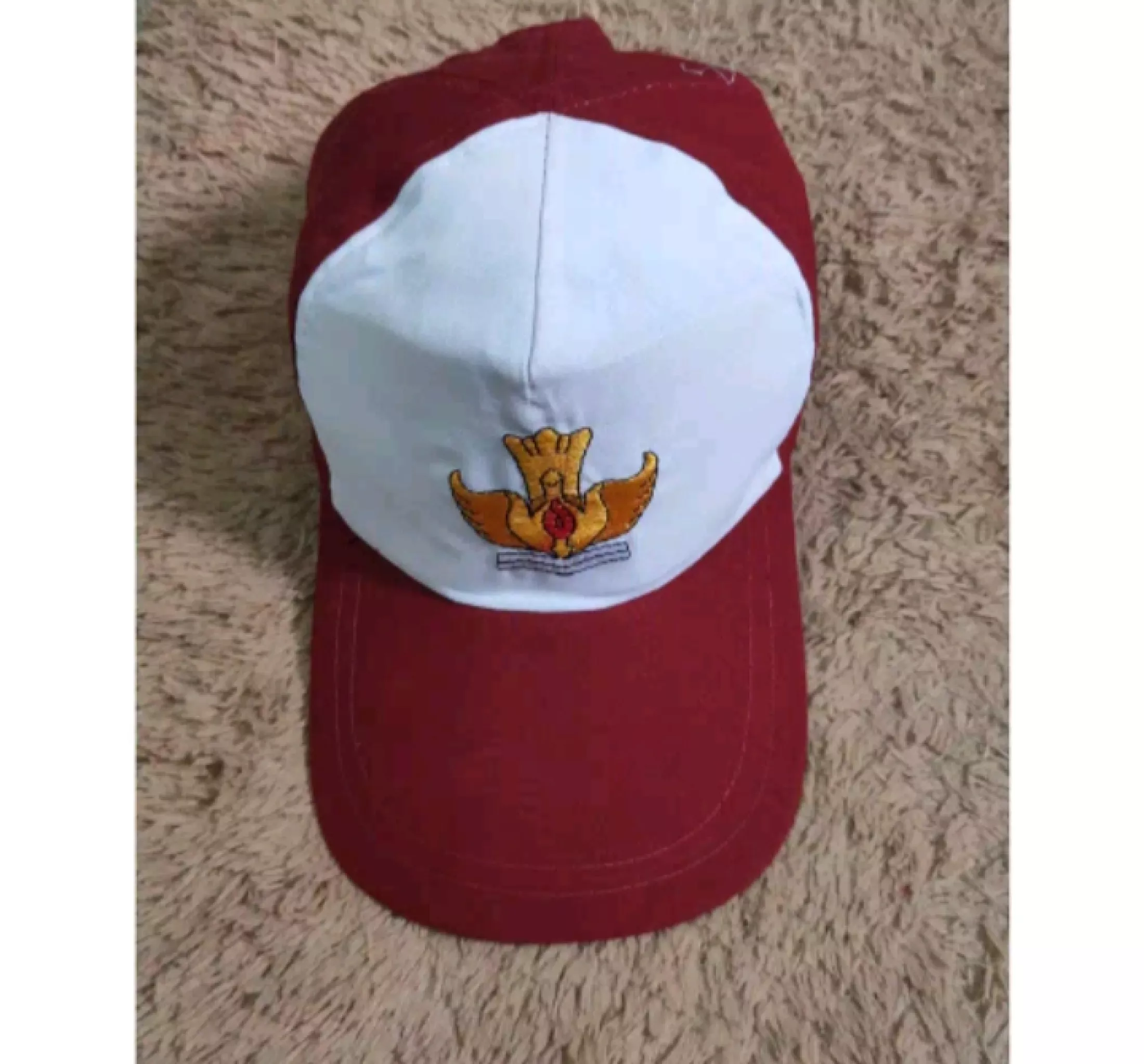 Detail Gambar Topi Sd Nomer 52