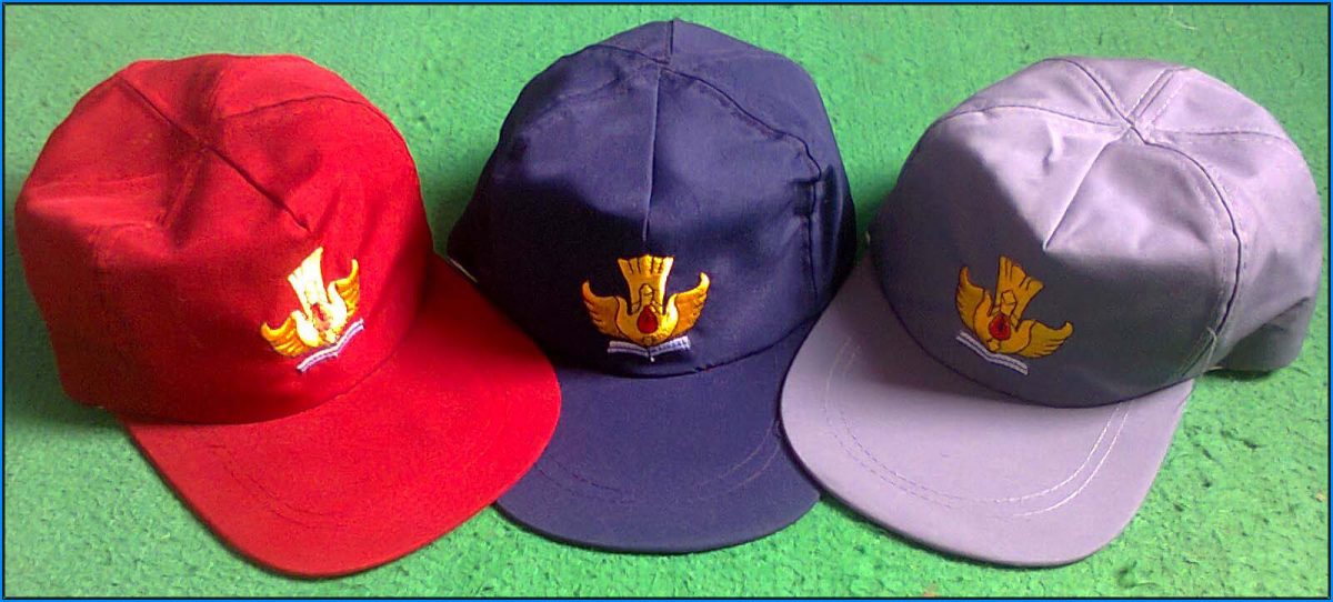 Detail Gambar Topi Sekolah Nomer 26