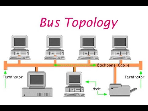 Detail Gambar Topologi Bus Nomer 37