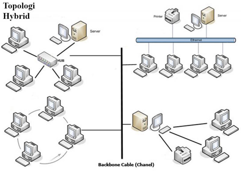 Detail Gambar Topologi Hybrid Nomer 15