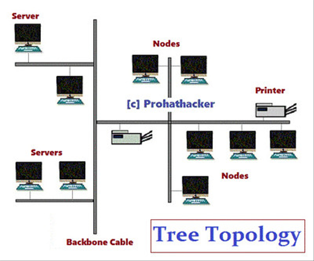 Detail Gambar Topologi Komputer Nomer 43