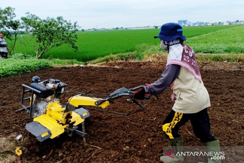 Detail Gambar Traktor Tangan Nomer 24