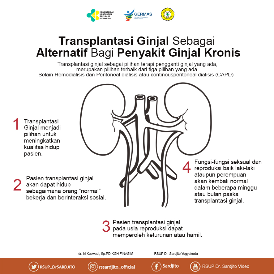 Detail Gambar Transplantasi Ginjal Nomer 15