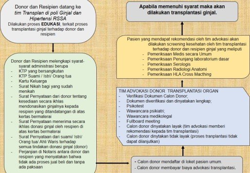 Detail Gambar Transplantasi Ginjal Nomer 35