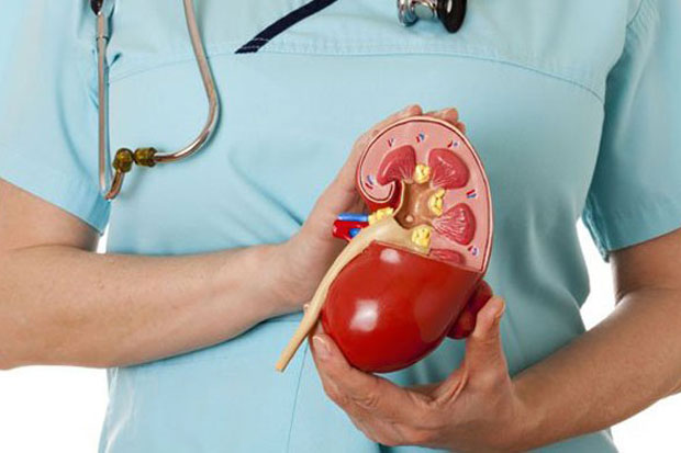 Detail Gambar Transplantasi Ginjal Gambar Transplantasi Jantung Nomer 14
