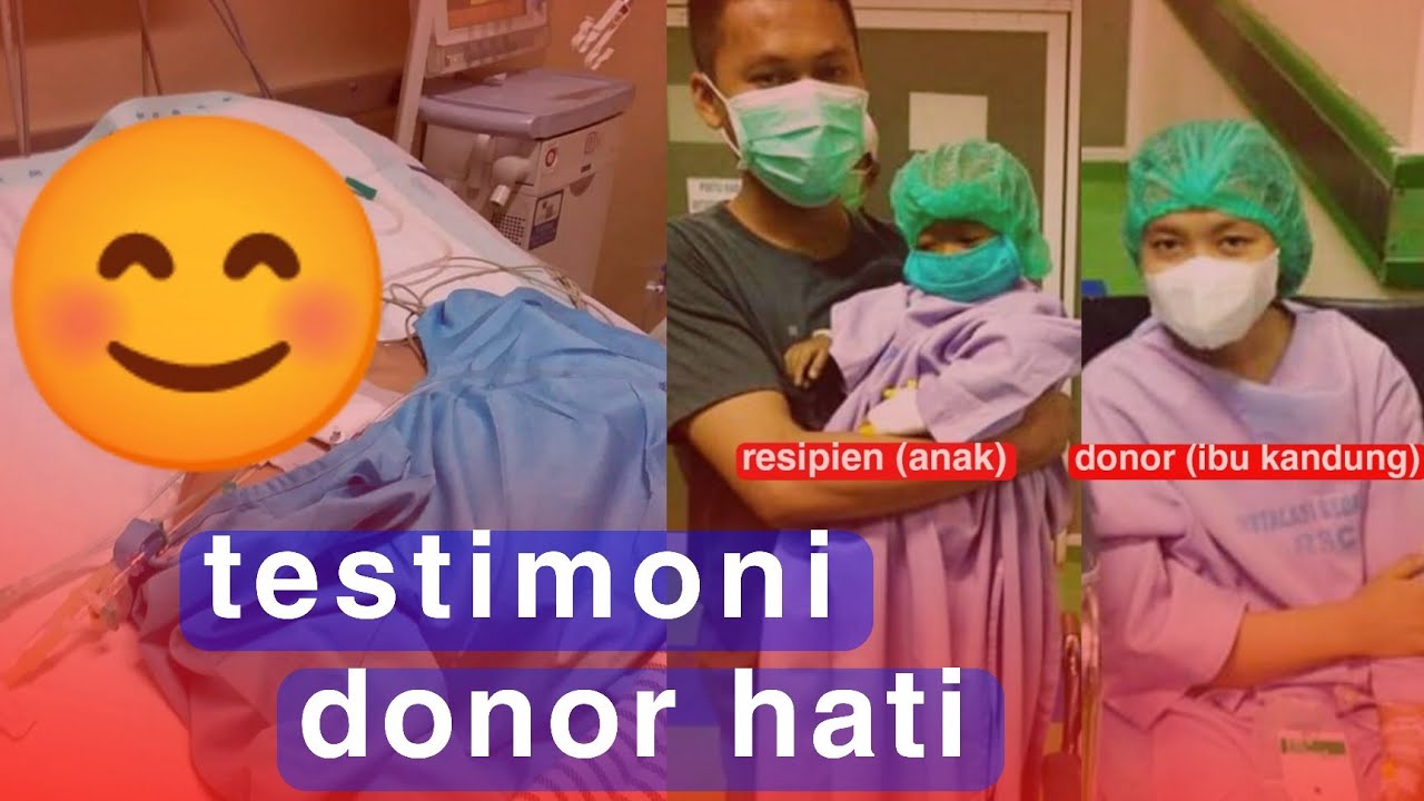 Detail Gambar Transplantasi Hati Nomer 55