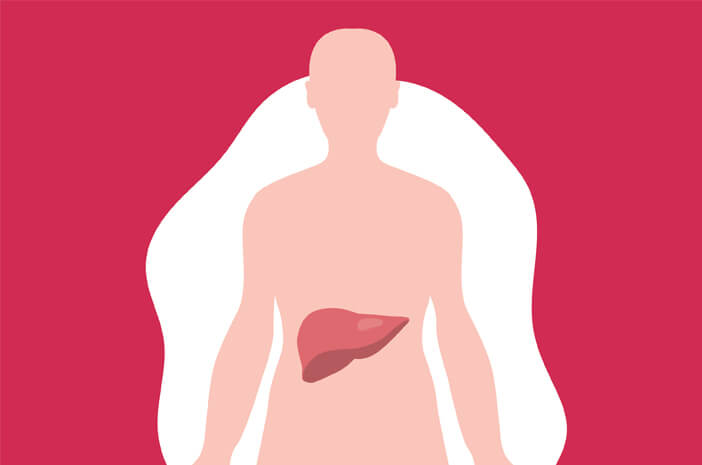 Detail Gambar Transplantasi Organ Pencernaan Nomer 25