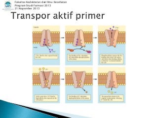 Detail Gambar Transpor Aktif Nomer 55