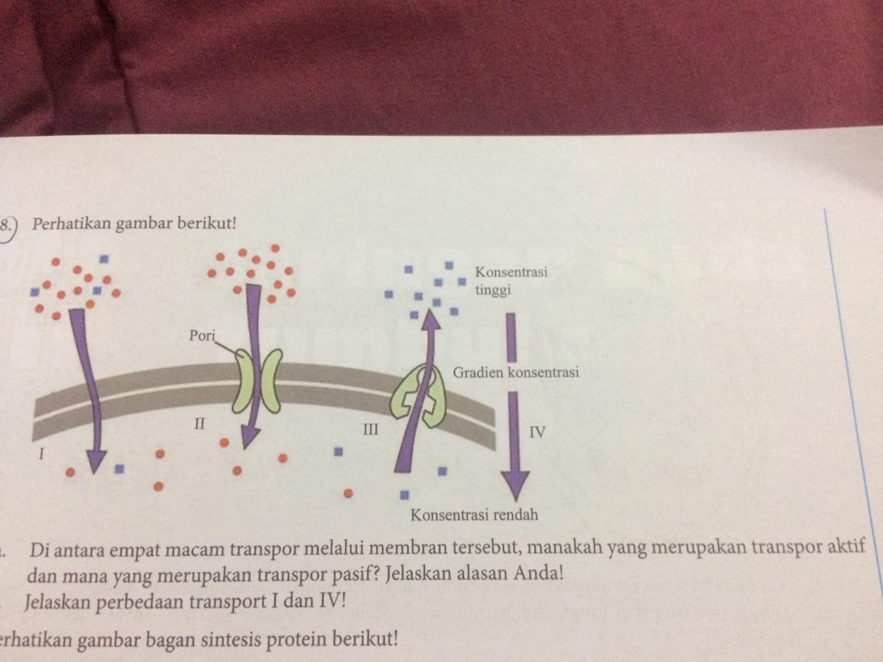 Detail Gambar Transpor Pasif Nomer 49