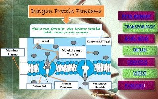 Detail Gambar Transpor Pasif Nomer 53