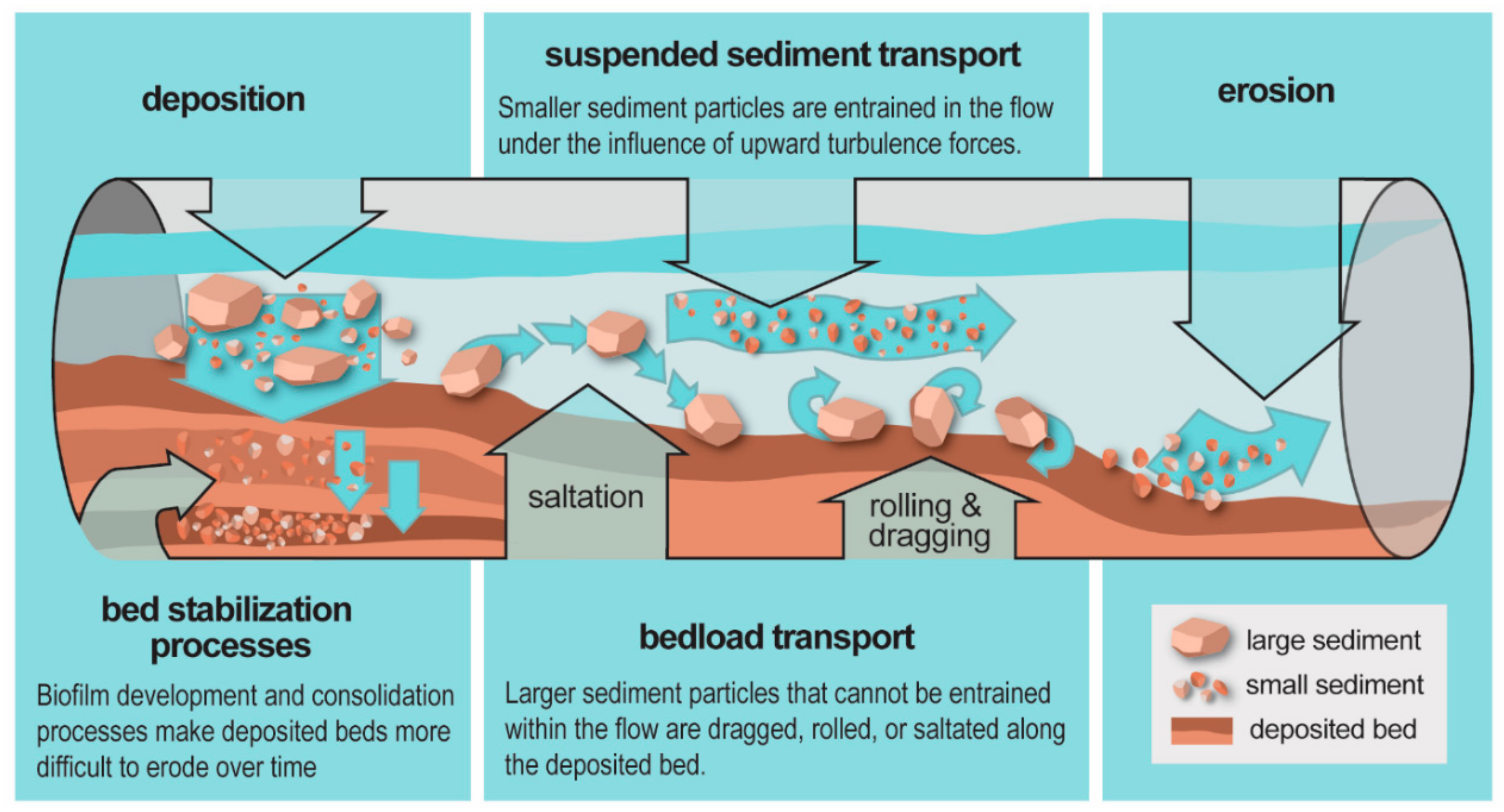 Detail Gambar Transport Sediment Nomer 27