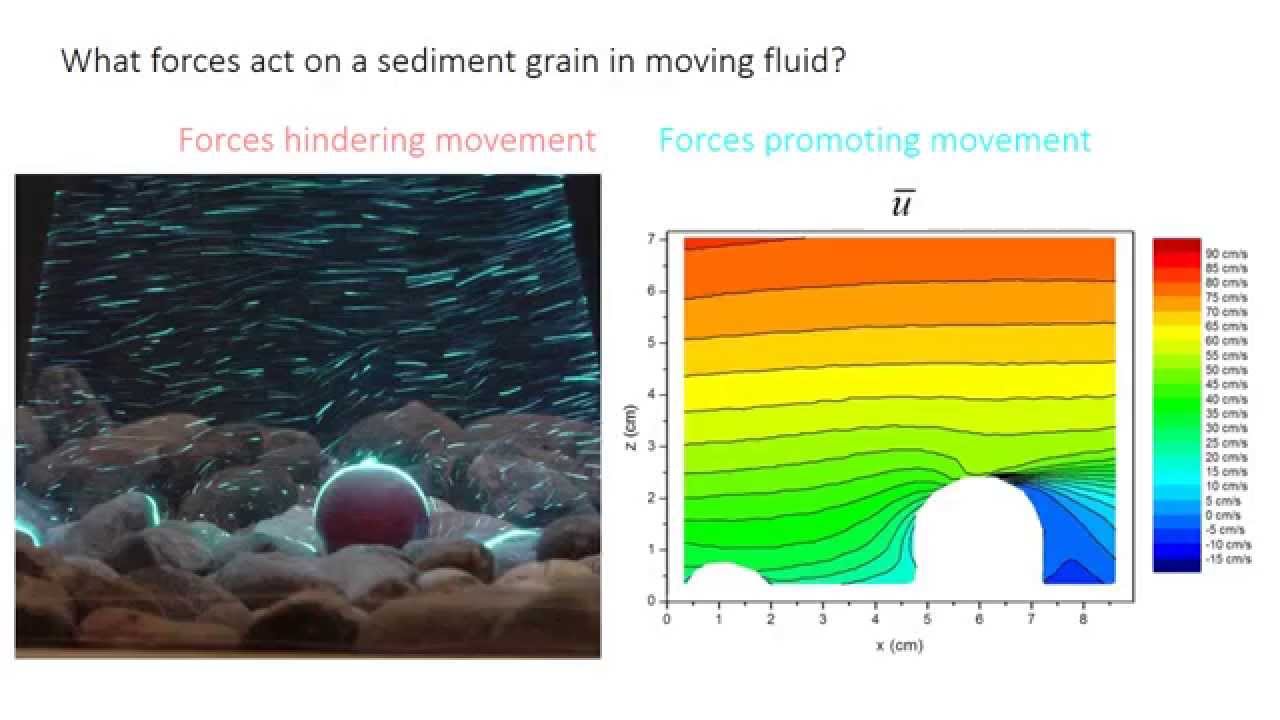 Detail Gambar Transport Sediment Nomer 33