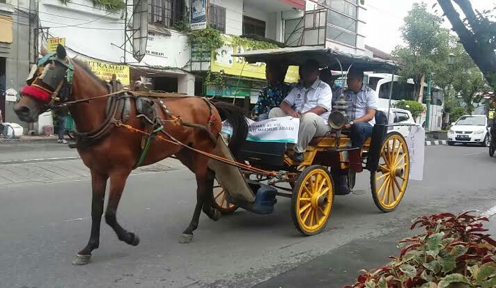 Detail Gambar Transportasi Darat Tradisional Nomer 14