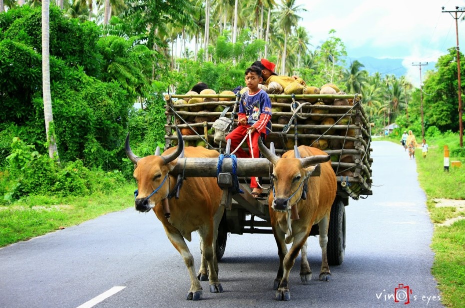 Detail Gambar Transportasi Darat Tradisional Nomer 16