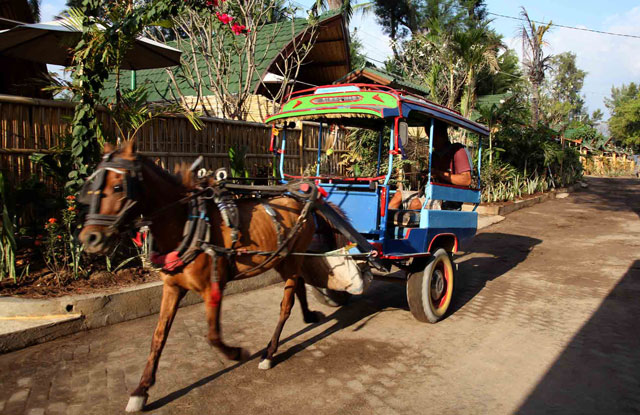 Detail Gambar Transportasi Darat Tradisional Nomer 5