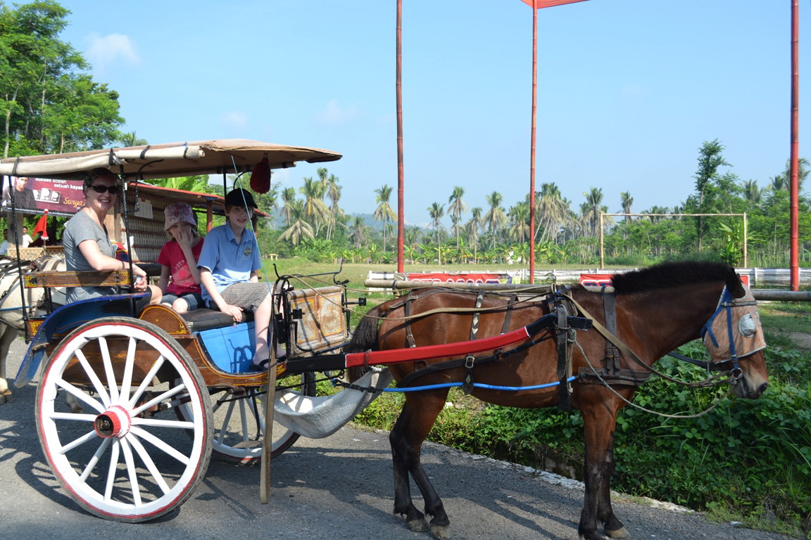 Detail Gambar Transportasi Di Indonesia Nomer 10