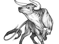 Gambar Tribal Banteng - KibrisPDR