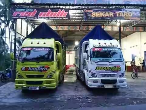 Detail Gambar Truk Cabe Nomer 24