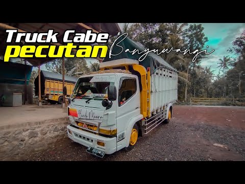 Detail Gambar Truk Cabe Nomer 47