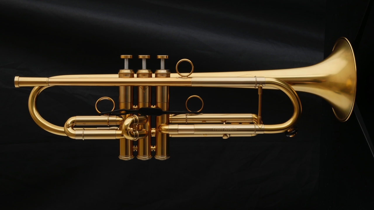 Detail Gambar Trumpet Nomer 18