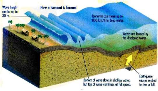 Detail Gambar Tsunami Dan Gempa Bumi Nomer 38