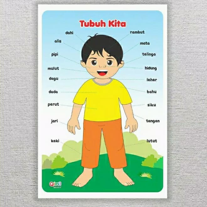 Detail Gambar Tubuh Anak Nomer 8