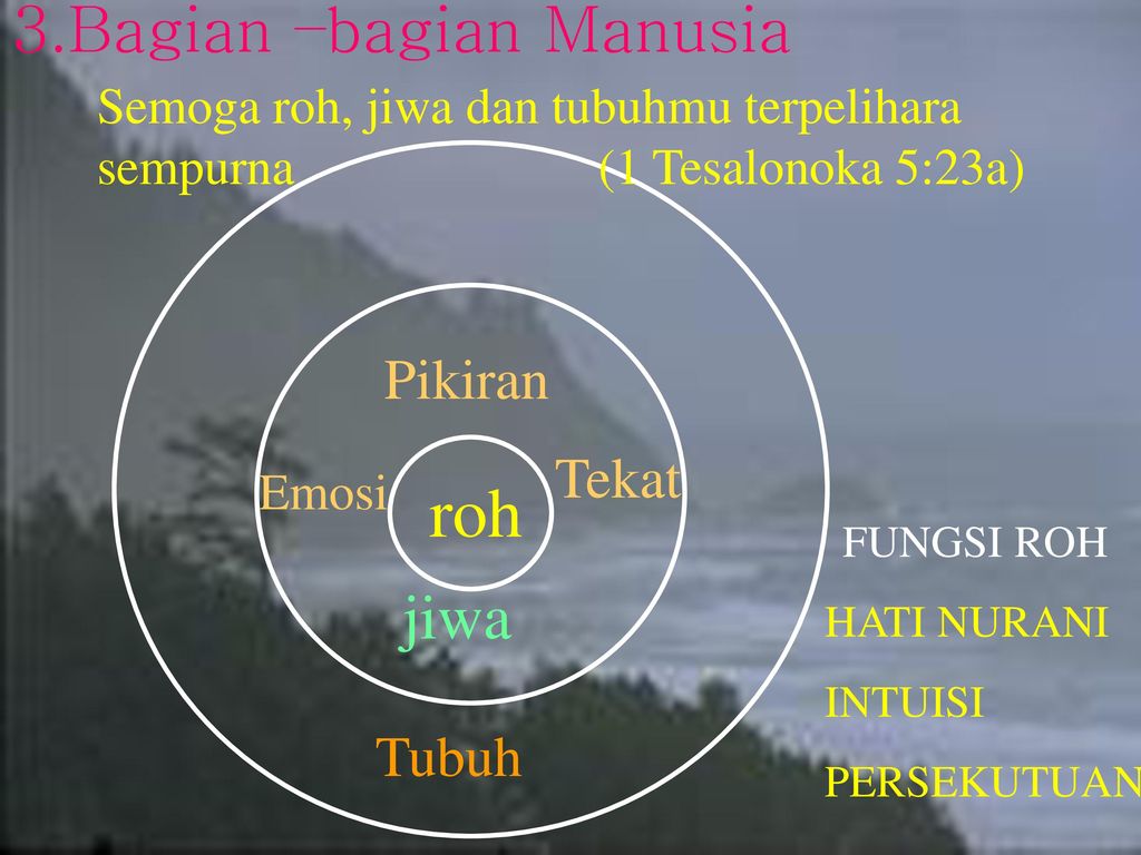 Detail Gambar Tubuh Jiwa Dan Roh Nomer 20