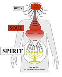 Detail Gambar Tubuh Jiwa Dan Roh Nomer 39