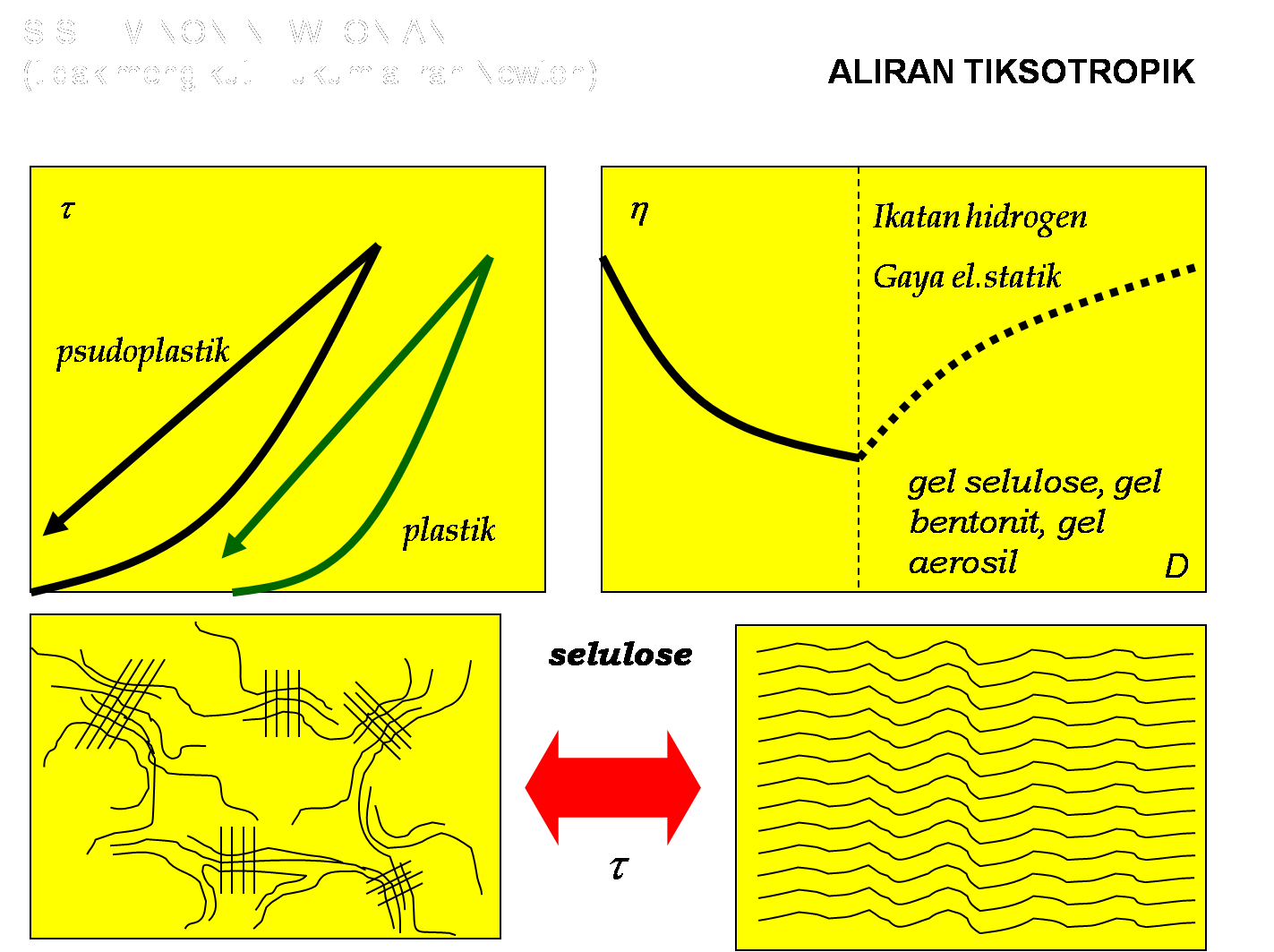 Detail Gambar Tubuh Rheopeksi Nomer 12