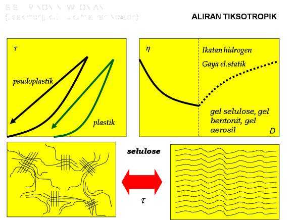 Detail Gambar Tubuh Rheopeksi Nomer 14