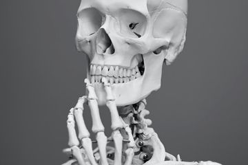 Detail Gambar Tulang Anggota Gerak Bawah Nomer 30
