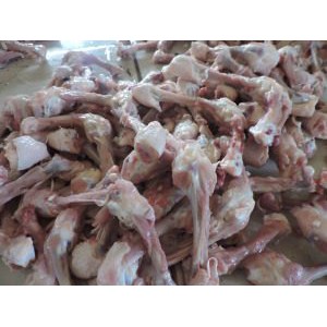 Detail Gambar Tulang Ayam Nomer 21